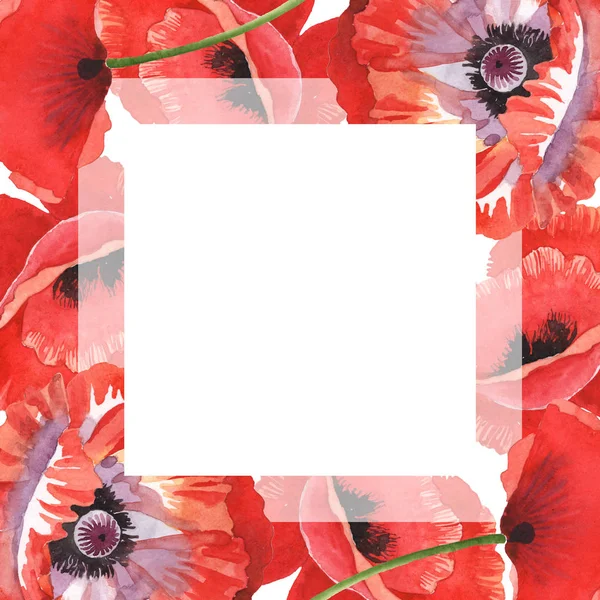 Rote Mohnblumen Isoliert Auf Weiß Aquarell Hintergrundillustration Set Rahmen Mit — Stockfoto