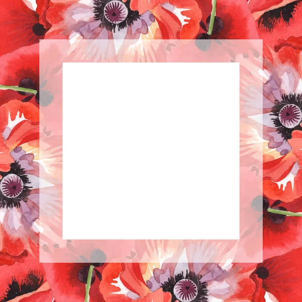 Red Poppies Isolated White Watercolor Background Illustration Set Frame Flowers — Stock Photo, Image