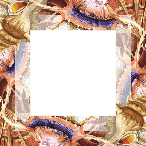 Tropical seashells isolated on white. Watercolor background illustration set. Frame with copy space.