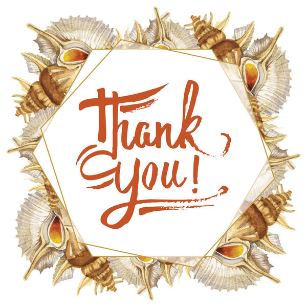 Tropical seashells isolated on white. Watercolor background illustration set. Frame with thank you lettering.