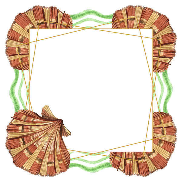 Tropical seashells with green seaweed isolated on white. Watercolor background illustration set. Frame with copy space.