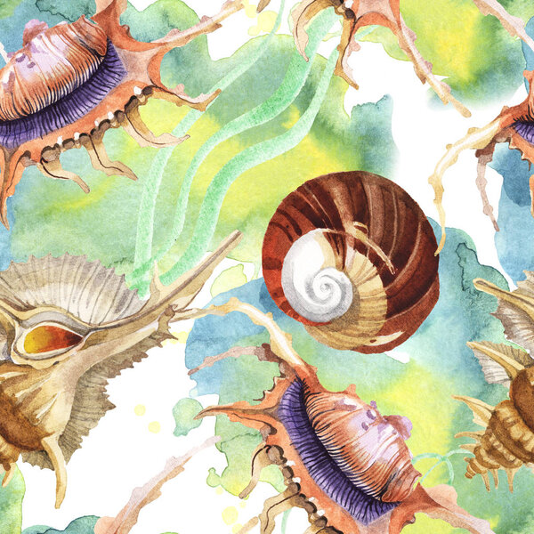 Seamless background pattern. Tropical seashells with green seaweed. Watercolor background illustration set. 