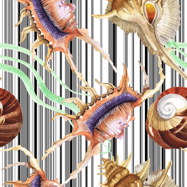 Seamless background pattern. Tropical seashells with green seaweed. Watercolor background illustration set. 