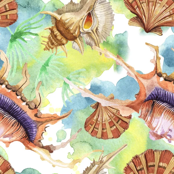 Sömlöst Bakgrundsmönster Tropiska Snäckskal Med Grön Tång Akvarell Bakgrund Illustration — Stockfoto