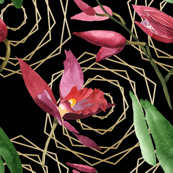 Orquídeas Marsala Com Folhas Verdes Sobre Fundo Preto Conjunto Ilustrações — Fotografia de Stock