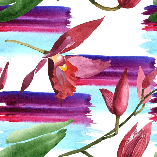 Marsala Orchideák Zöld Levelek Fehér Háttér Festék Brushstrokes Akvarell Illusztráció — Stock Fotó