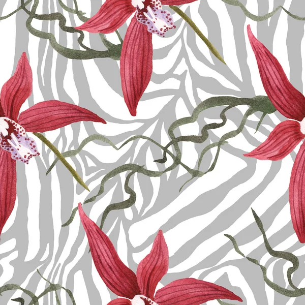 Marsala Orchids Green Leaves Zebra Background Watercolor Illustration Set Seamless — Stock Photo, Image