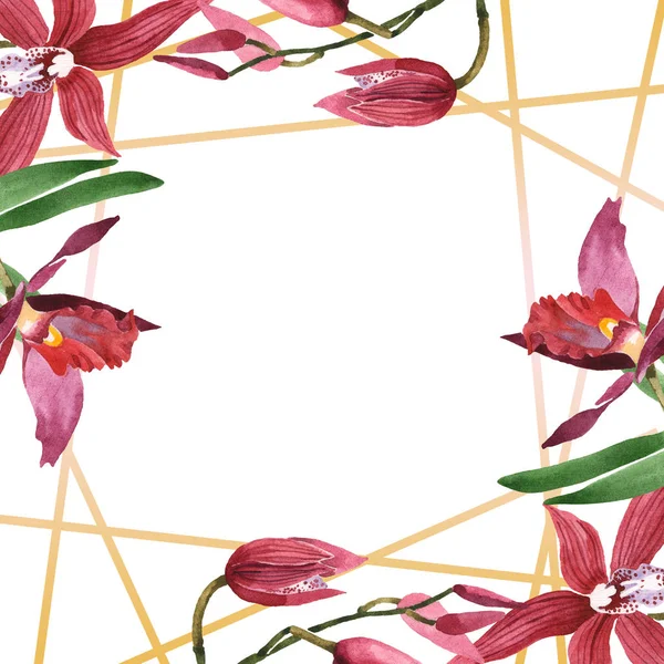 Marsala Orchideeën Met Groene Bladeren Geïsoleerd Wit Aquarel Achtergrond Illustratie — Stockfoto