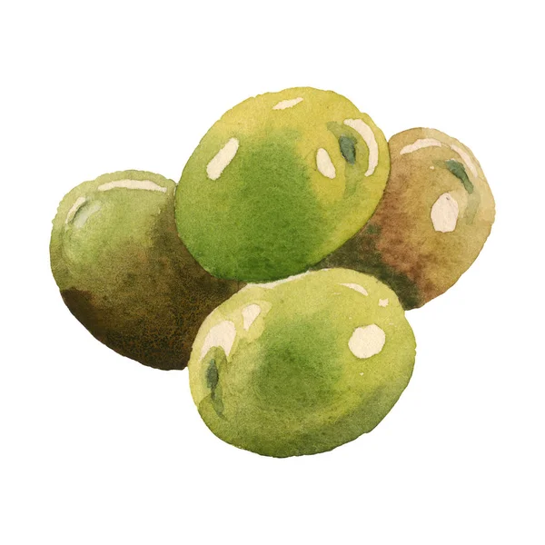 Fresh Olives Isolated White Watercolor Background Illustration Elements — Stock Photo, Image