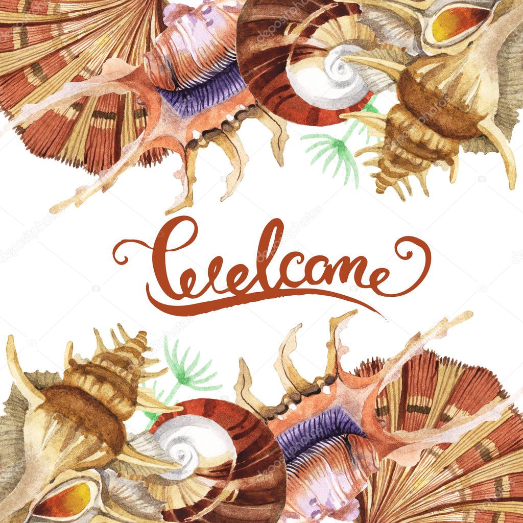 Tropical seashells with green seaweed isolated on white. Watercolor background illustration set. Frame with welcome lettering.