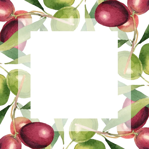 Fresh Olives Green Leaves Isolated White Watercolor Background Illustration Frame — Stock Photo, Image