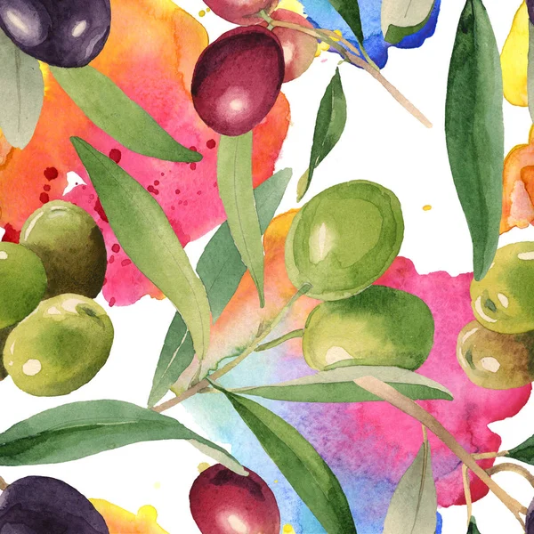 Čerstvé Olivy Zelenými Listy Izolované Bílých Akvarel Pozadí Bezespání Vzorek — Stock fotografie