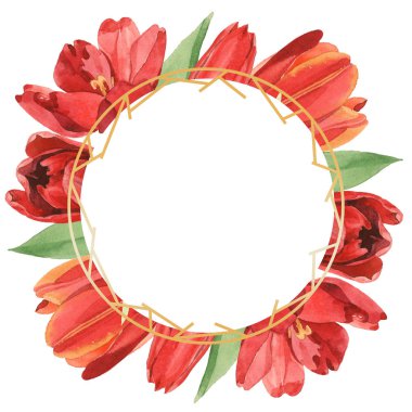 Yeşil yapraklı kırmızı lale çelengi beyaza izole edilmiş. Kopya alanı ile çerçeve süslemesi.