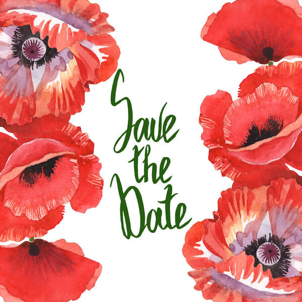Red poppies isolated on white. Watercolor background illustration set. Frame with flowers and save the date lettering.
