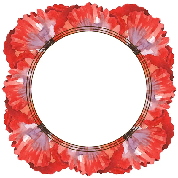 Czerwone Maki Wyizolowane Biało Akwarela Zestaw Ilustracji Tła Rama Kwiatami — Zdjęcie stockowe