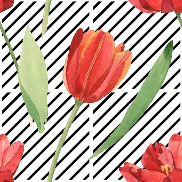 Красные Тюльпаны Зелеными Листьями Черно Белом Полосатом Фоне Набор Акварельных — стоковое фото