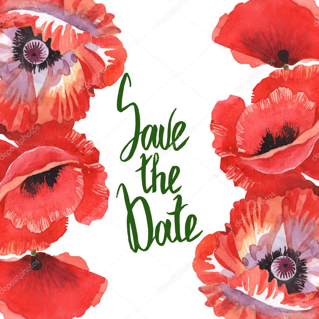 Red poppies isolated on white. Watercolor background illustration set. Frame with flowers and save the date lettering.