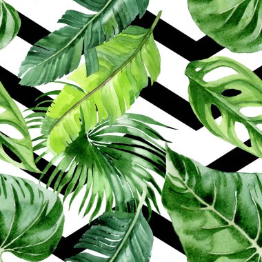 Egzotik tropikal hawaii palmiye ağacı yaprakları. Suluboya arka plan illüstrasyon seti. Kesintisiz arka plan deseni. 