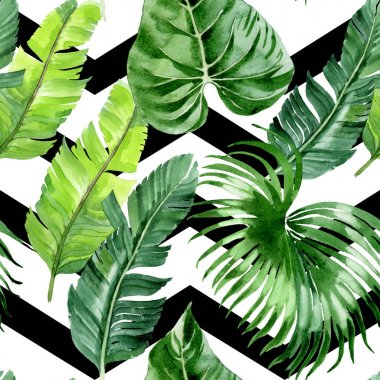 Egzotik tropikal hawaii palmiye ağacı yaprakları. Suluboya arka plan illüstrasyon seti. Kesintisiz arka plan deseni. 