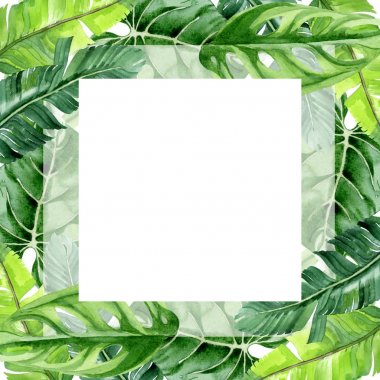 Exotic tropical hawaiian palm tree leaves isolated on white. Watercolor background illustration set. Frame ornament with copy space. clipart