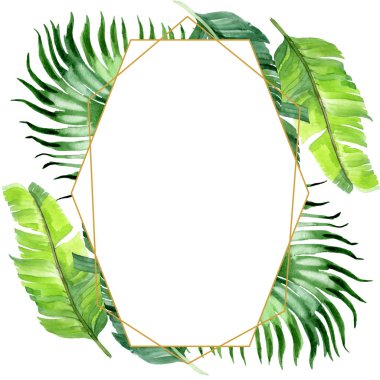 Egzotik tropikal hawaii palmiye ağacı beyaz izole yaprakları. Suluboya arka plan illüstrasyon seti. Kopyalama alanı ile çerçeve süsü.