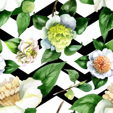 Yeşil yapraklı beyaz kamelya çiçekleri suluboya çizim seti. Kusursuz arkaplan deseni.