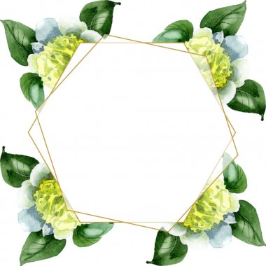 Beyaz kamelya çiçekleri ve beyaz yapraklar. Suluboya arkaplan çizimi. Kopya alanı ile kenarlık süsünü çerçevele.