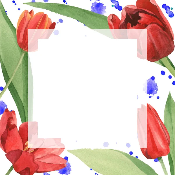 Rote Tulpen Mit Grünen Blättern Illustration Isoliert Auf Weiß Rahmenornament — Stockfoto