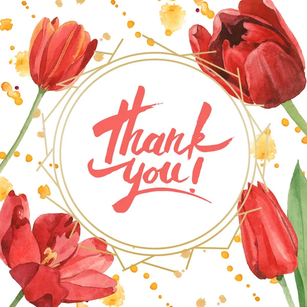 红色郁金香与绿叶隔离在白色 水彩背景插图集 框架与鲜花和感谢你的题词 — 图库照片