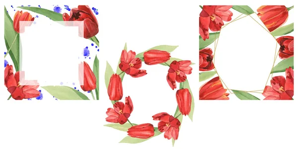 Wreaths Red Tulips Green Leaves Illustration Isolated White Frame Ornaments — 스톡 사진