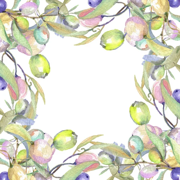 緑の果実と葉とオリーブの枝は 白に分離しました 水彩背景イラストセット コピースペース付きフレームオーナメント — ストック写真