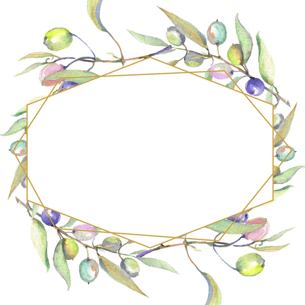 橄榄枝与绿色水果和叶子隔离在白色 水彩背景插图集 带复制空间的帧装饰 — 图库照片