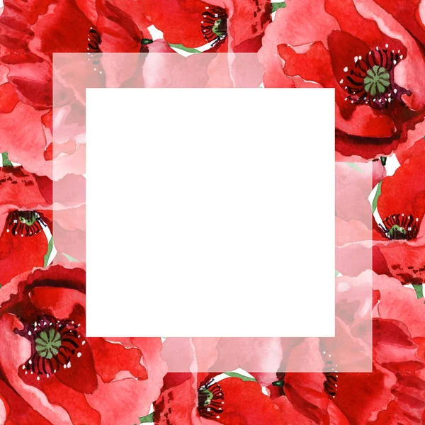 Червоні Маки Ізольовані Білому Набір Ілюстрацій Акварельного Фону Орнамент Рамки — стокове фото