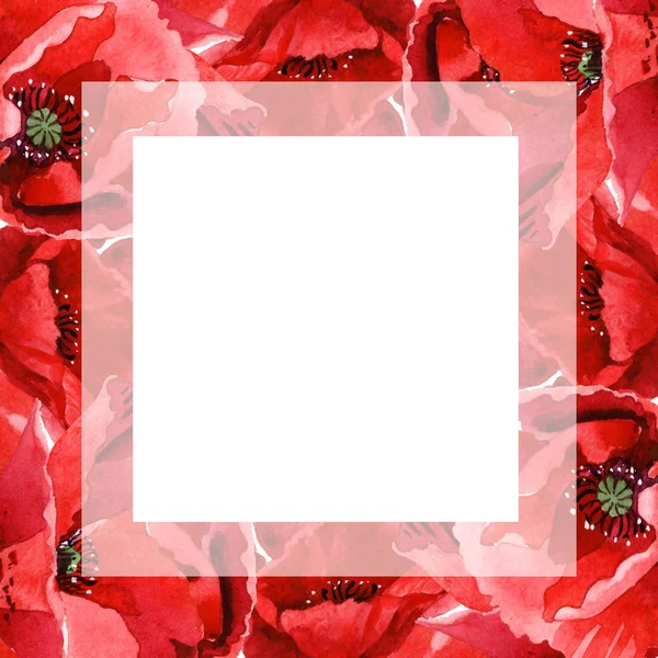 Rote Mohnblumen Isoliert Auf Weiß Aquarell Hintergrundillustration Set Rahmenornament Mit — Stockfoto