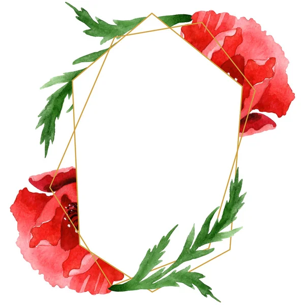 Κόκκινες Παπαρούνες Πράσινα Φύλλα Απομονωμένα Λευκό Σύνολο Εικονογράφησης Φόντου Διακοσμητικό — Φωτογραφία Αρχείου