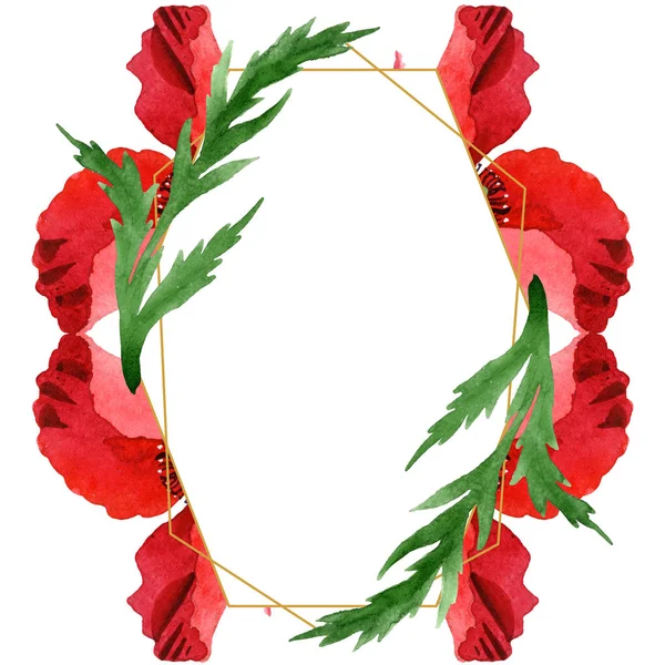 红色罂粟与绿叶隔离在白色 水彩背景插图集 带复制空间的帧装饰 — 图库照片