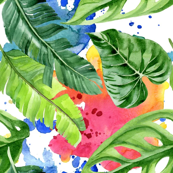 Hojas Exóticas Palmera Hawaiana Tropical Conjunto Ilustración Fondo Acuarela Patrón — Foto de Stock