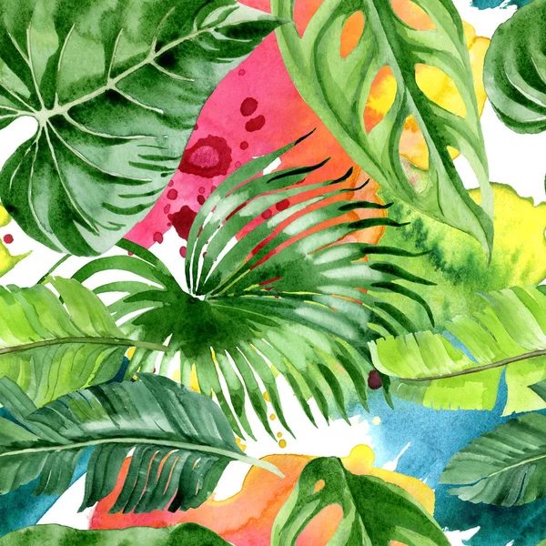 Hojas Exóticas Palmera Hawaiana Tropical Conjunto Ilustración Fondo Acuarela Patrón — Foto de Stock