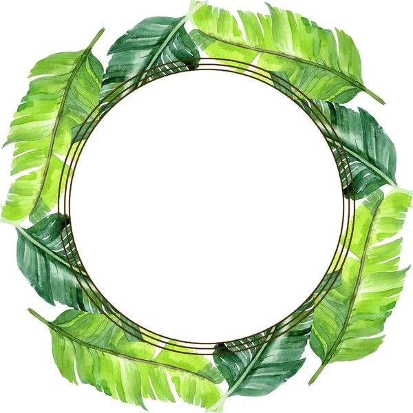 Exotic tropical hawaiian palm tree leaves isolated on white. Watercolor background illustration set. Frame ornament with copy space.