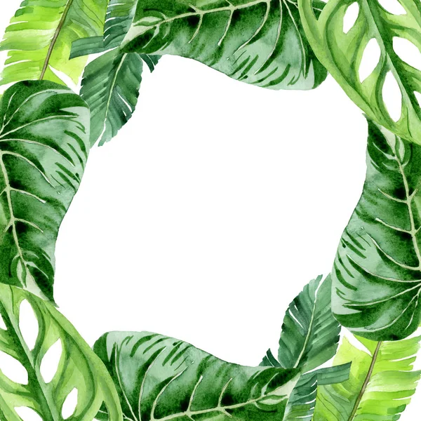 エキゾチックな熱帯ハワイのヤシの木は白に孤立した葉 水彩背景イラストセット コピースペース付きフレームオーナメント — ストック写真
