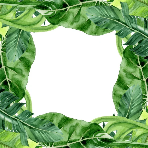 Exotic tropical hawaiian palm tree leaves isolated on white. Watercolor background illustration set. Frame ornament with copy space.