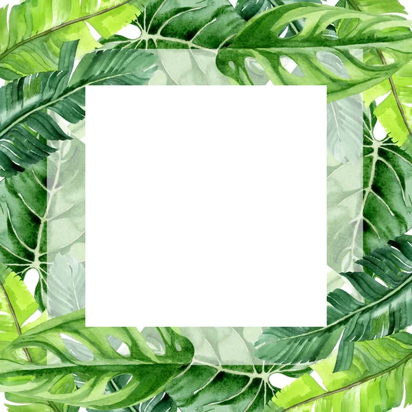 Exotic tropical hawaiian palm tree leaves isolated on white. Watercolor background illustration set. Frame ornament with copy space.