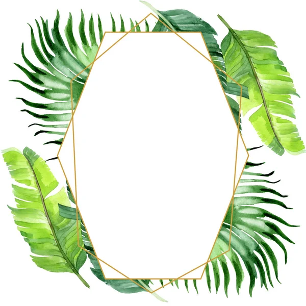 Exotic tropical hawaiian palm tree leaves isolated on white. Watercolor background illustration set. Frame ornament with copy space.