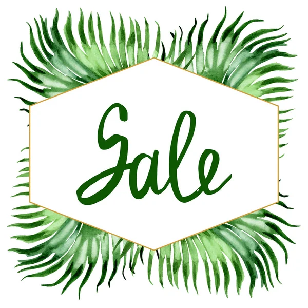 Exotic tropical hawaiian palm tree leaves isolated on white. Watercolor background illustration set. Frame ornament with sale lettering.