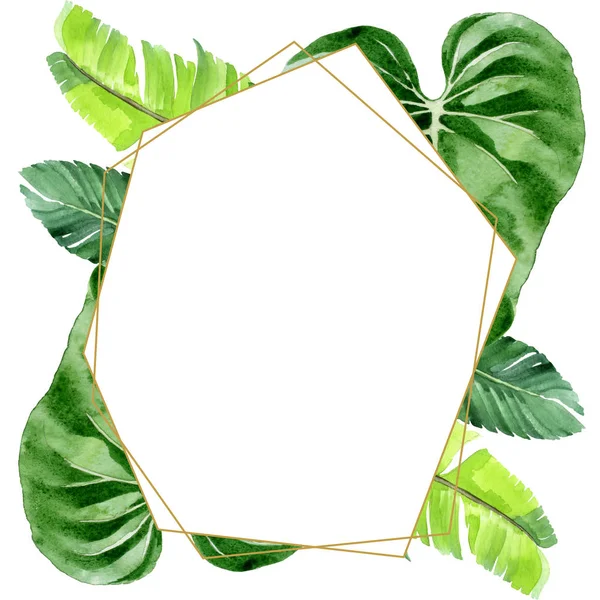 Exotic tropical hawaiian palm tree leaves isolated on white. Watercolor background illustration set. Frame ornament with copy space.