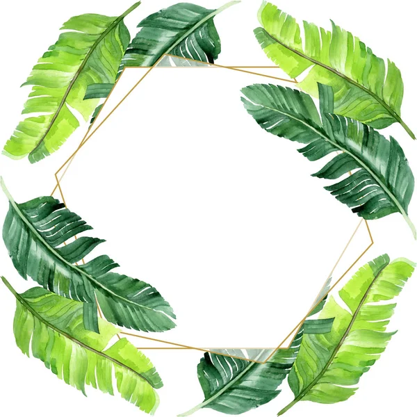 Exotic tropical hawaiian palm tree leaves isolated on white. Watercolor background illustration set. Frame ornament with copy space.
