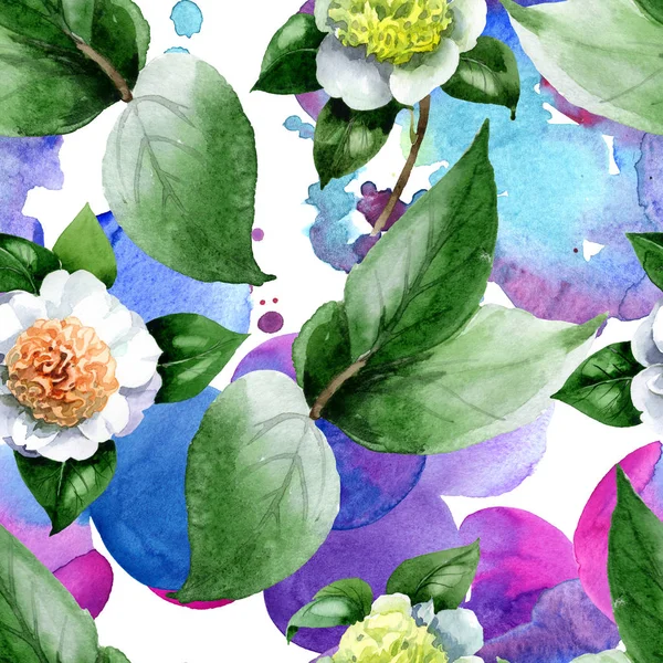 Flores Camelia Blanca Con Hojas Verdes Conjunto Ilustración Acuarela Patrón — Foto de Stock