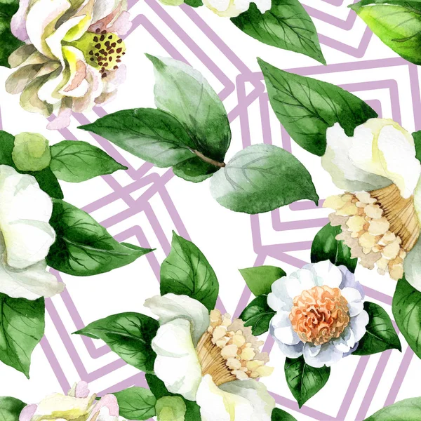 Flores Camelia Blanca Con Hojas Verdes Conjunto Ilustración Acuarela Patrón — Foto de Stock