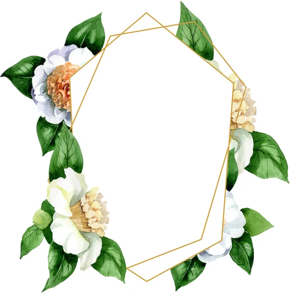 Flores Brancas Camélia Com Folhas Verdes Isoladas Branco Conjunto Ilustração — Fotografia de Stock