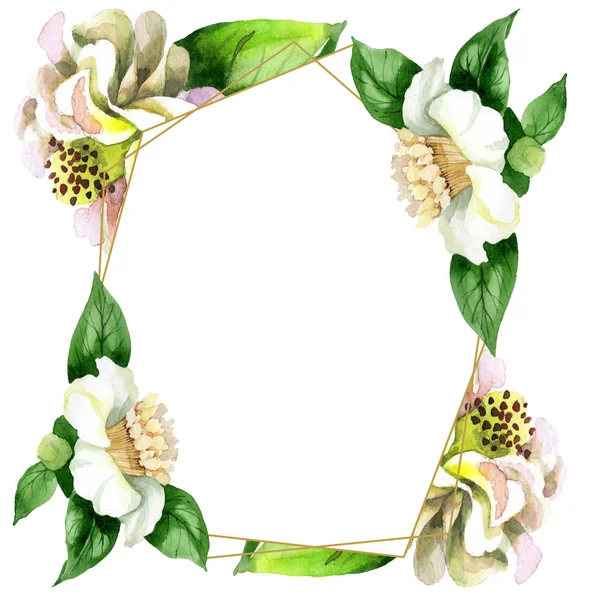 白い椿の花は 緑色の葉が白い上に孤立します 水彩の背景イラストセット コピースペースとフレーム境界の装飾 — ストック写真